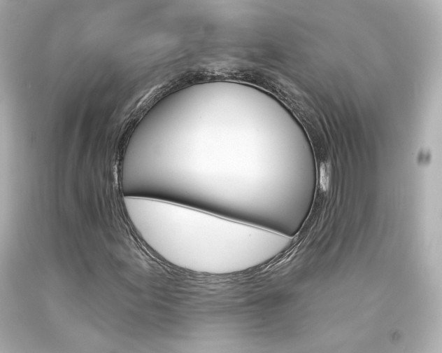 X0000094351155200711021306