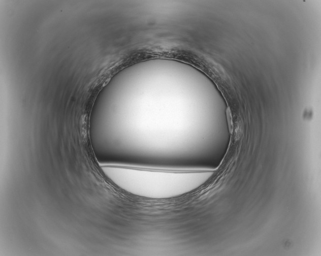 X0000094351156200711021306