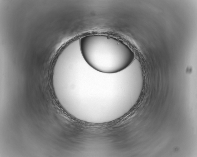 X0000094351160200711021306