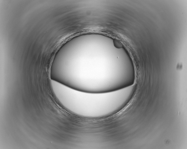 X0000094351161200711021306