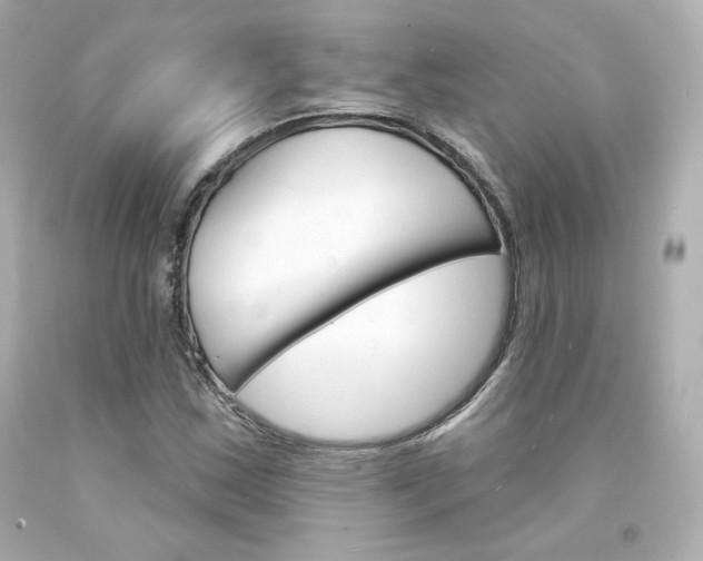 X0000094351163200711021306