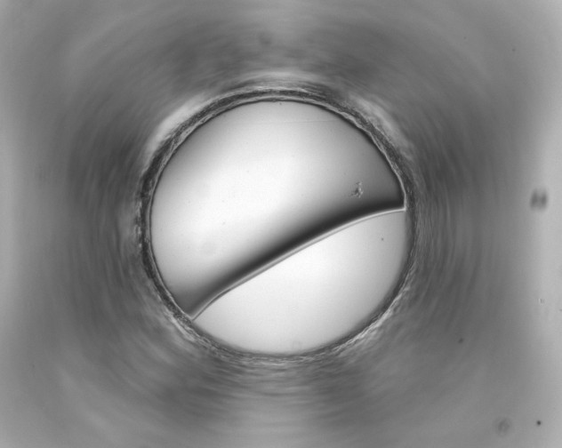 X0000094351164200711021306