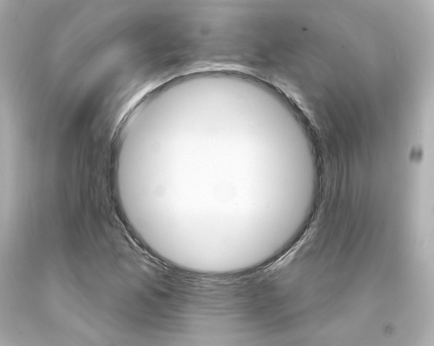 X0000094351165200711021306