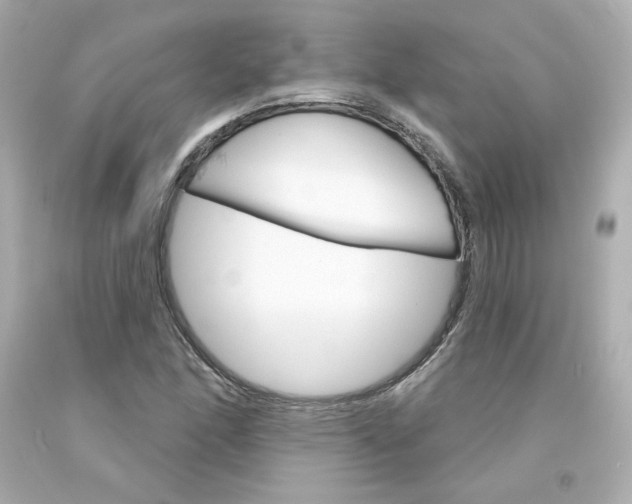 X0000094351166200711021306