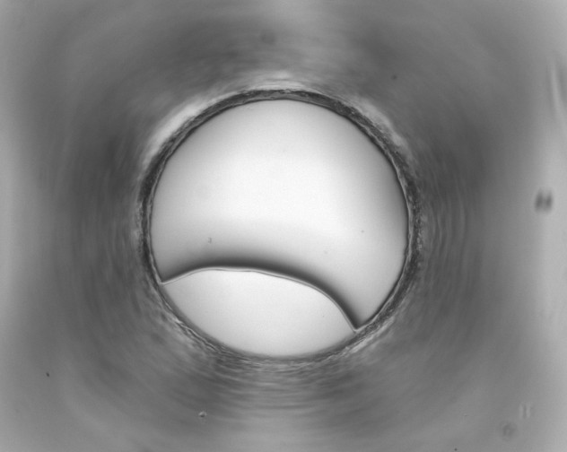 X0000094351167200711021306