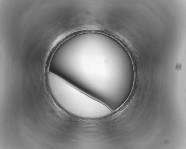 X0000094351168200711021306