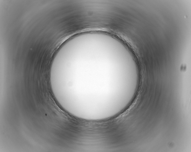 X0000094351169200711021306