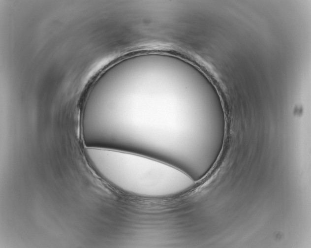 X0000094351171200711021306