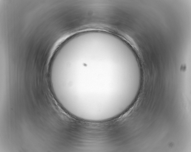 X0000094351172200711021306