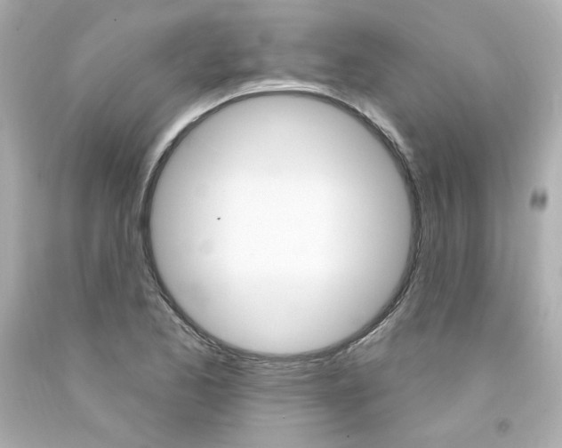 X0000094351173200711021306
