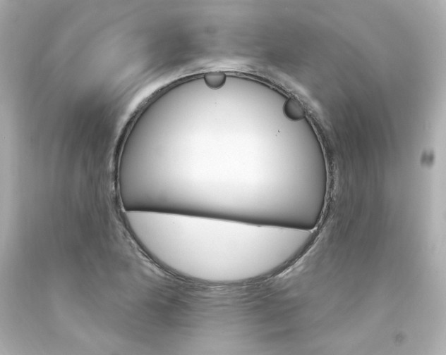 X0000094351174200711021306