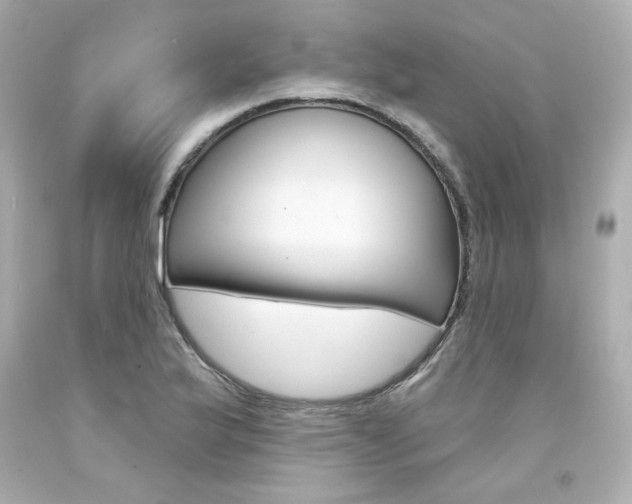 X0000094351175200711021306