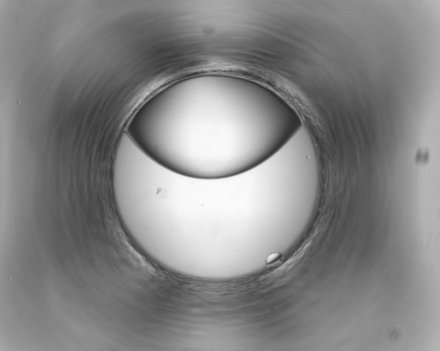 X0000094351177200711021306