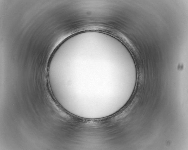 X0000094351178200711021306
