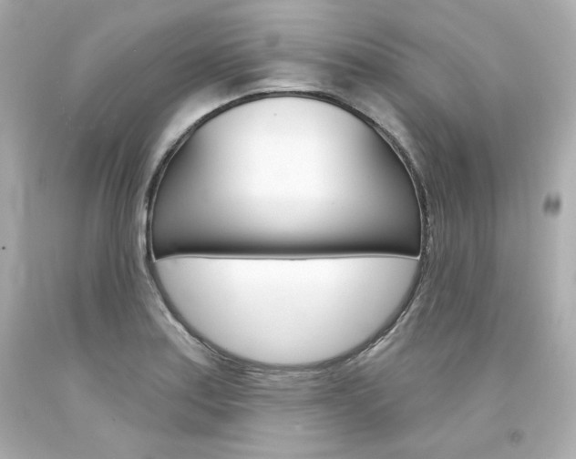 X0000094351179200711021306