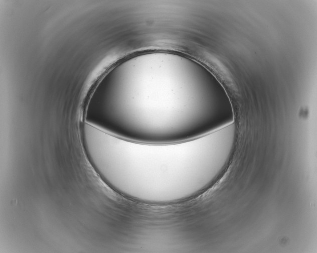 X0000094351180200711021306