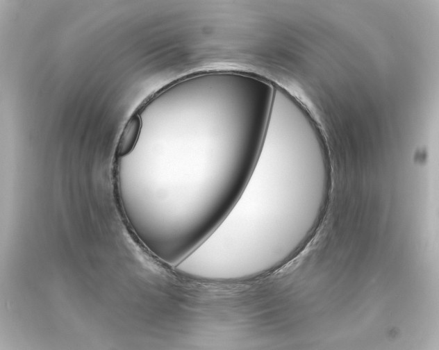X0000094351181200711021306
