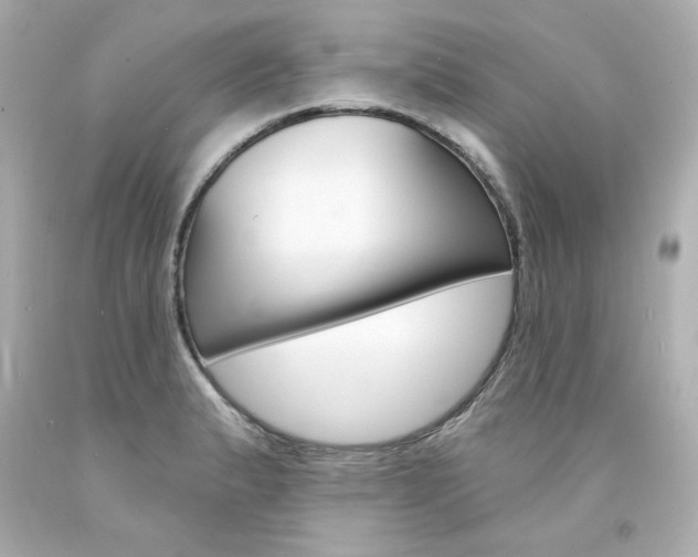 X0000094351183200711021306