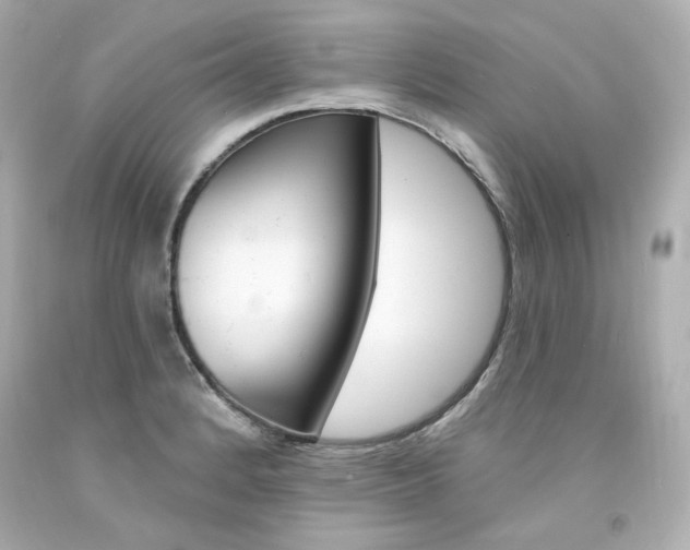 X0000094351184200711021306