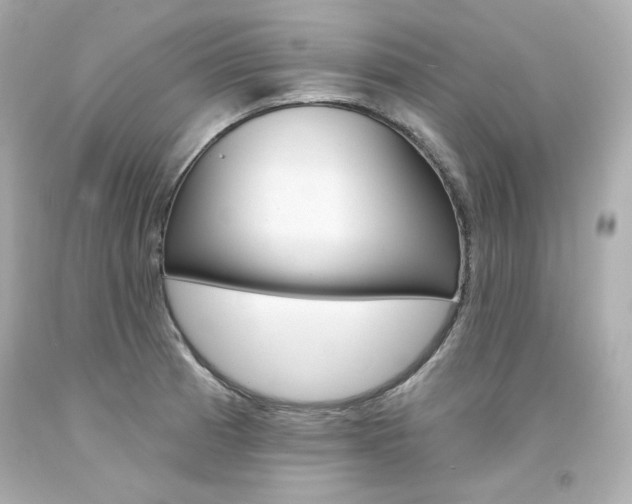 X0000094351185200711021306