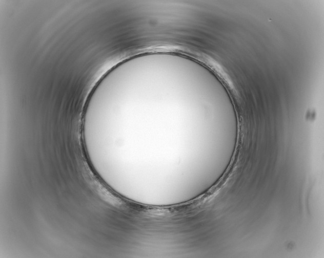 X0000094351186200711021306