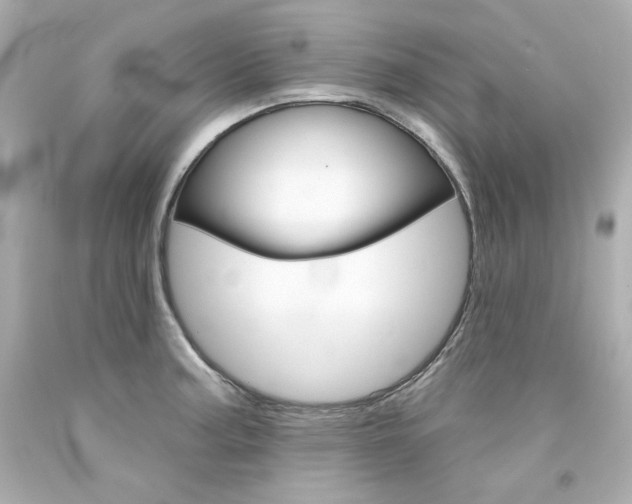 X0000094351187200711021306