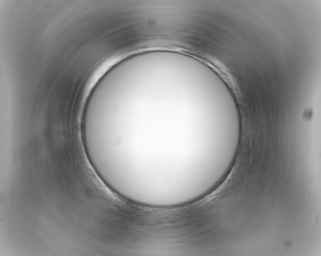 X0000094351188200711021306