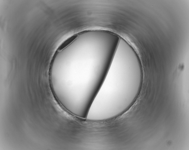 X0000094351189200711021306