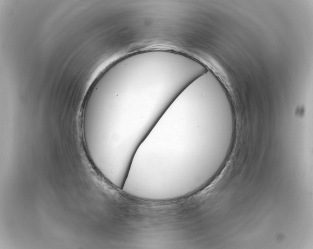X0000094351190200711021306