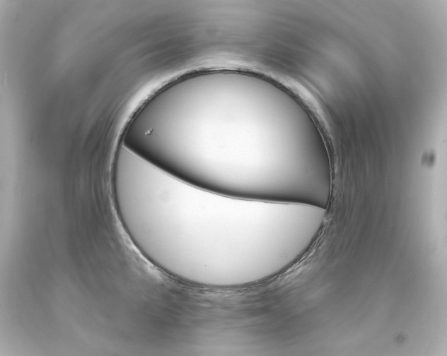 X0000094351191200711021306