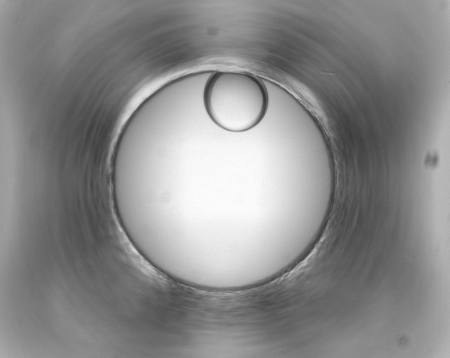 X0000094351192200711021306