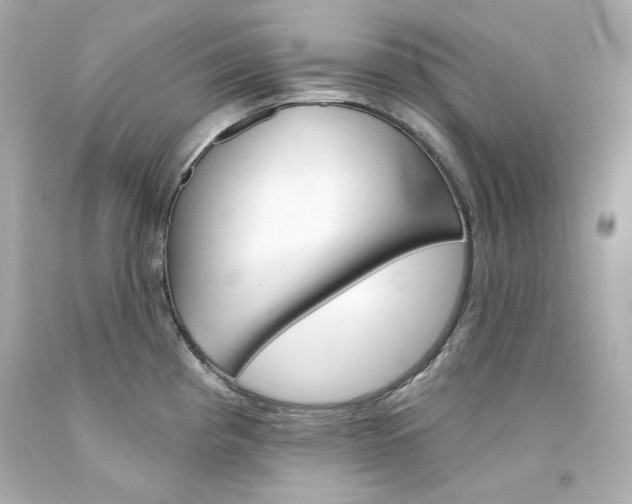 X0000094351193200711021306