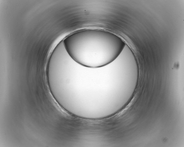 X0000094351196200711021306