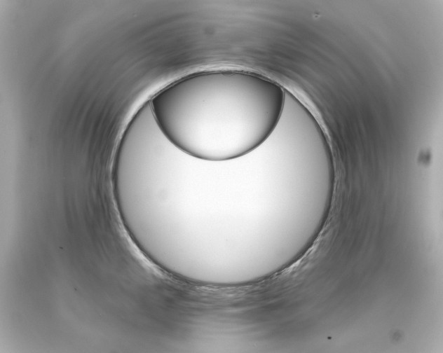 X0000094351197200711021306