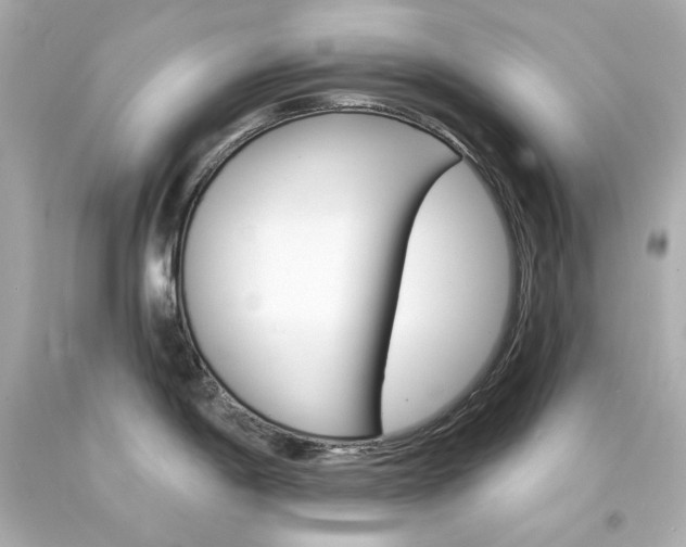 X0000094351198200711021306