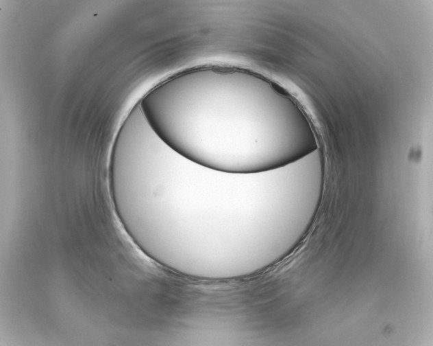 X0000094351199200711021306