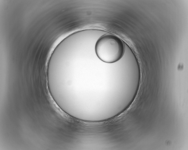 X0000094351200200711021306