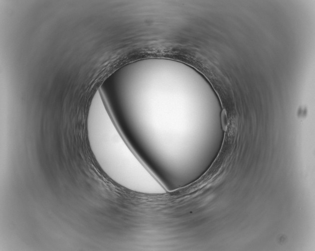 X0000094351202200711021305