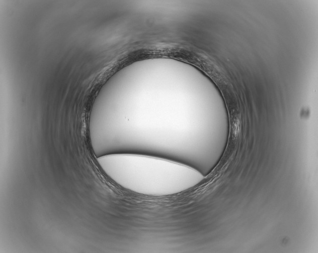 X0000094351204200711021305