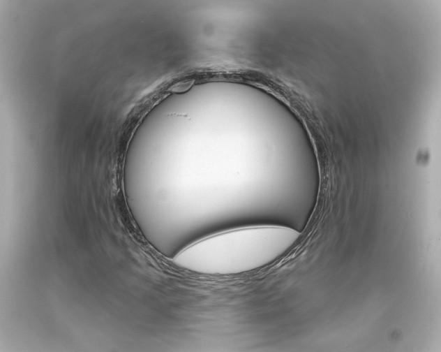 X0000094351205200711021305
