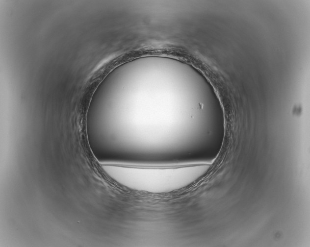 X0000094351206200711021305