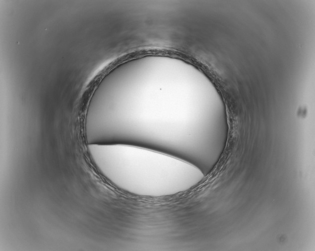 X0000094351208200711021305