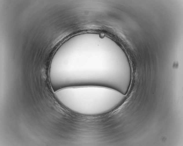 X0000094351209200711021305