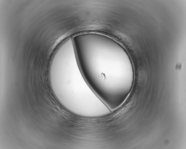 X0000094351210200711021305