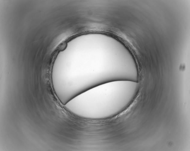 X0000094351211200711021305