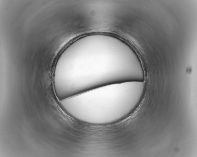 X0000094351212200711021305