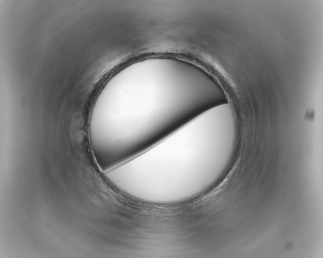 X0000094351213200711021305
