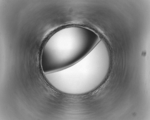 X0000094351214200711021305
