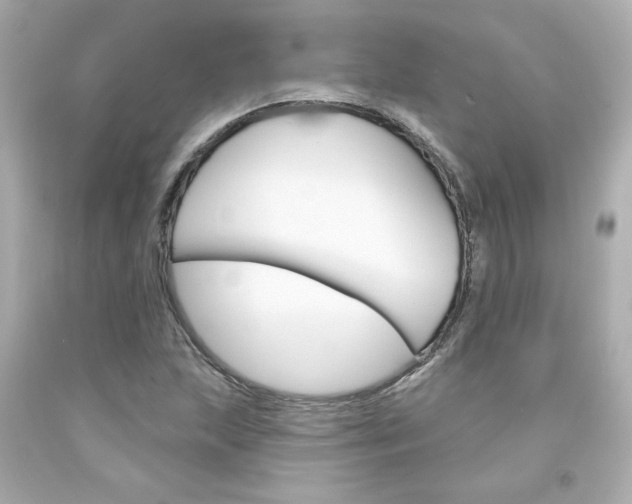 X0000094351215200711021305