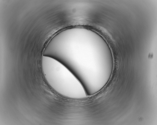 X0000094351217200711021305